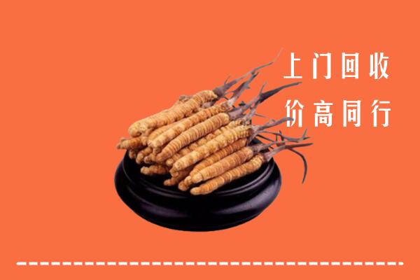 高价求购：沙坡头区回收散虫草